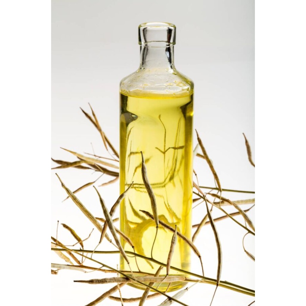 Refined Canola Oil